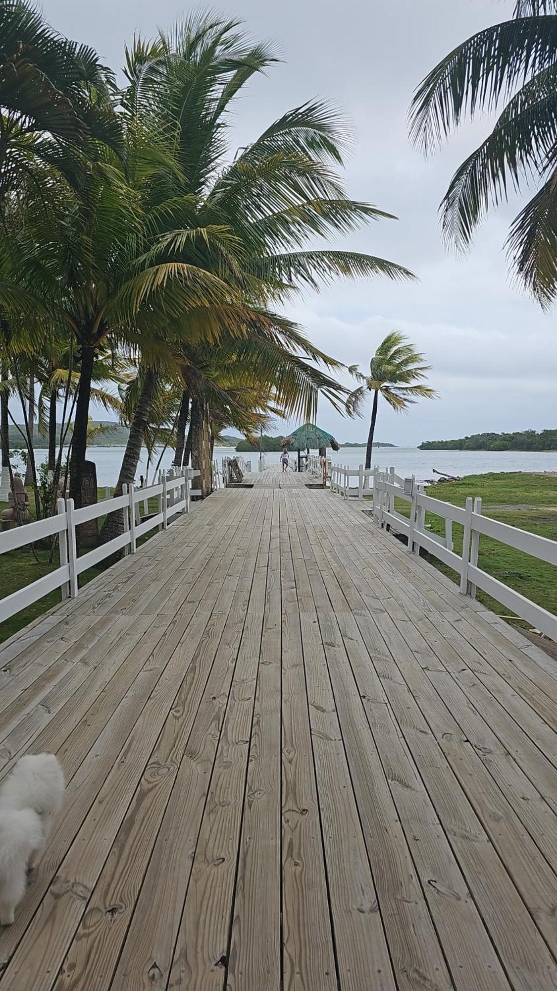 Las Palmas Joliet Corozal  Exterior foto